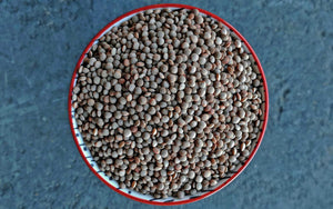 British Olive Green  Lentils