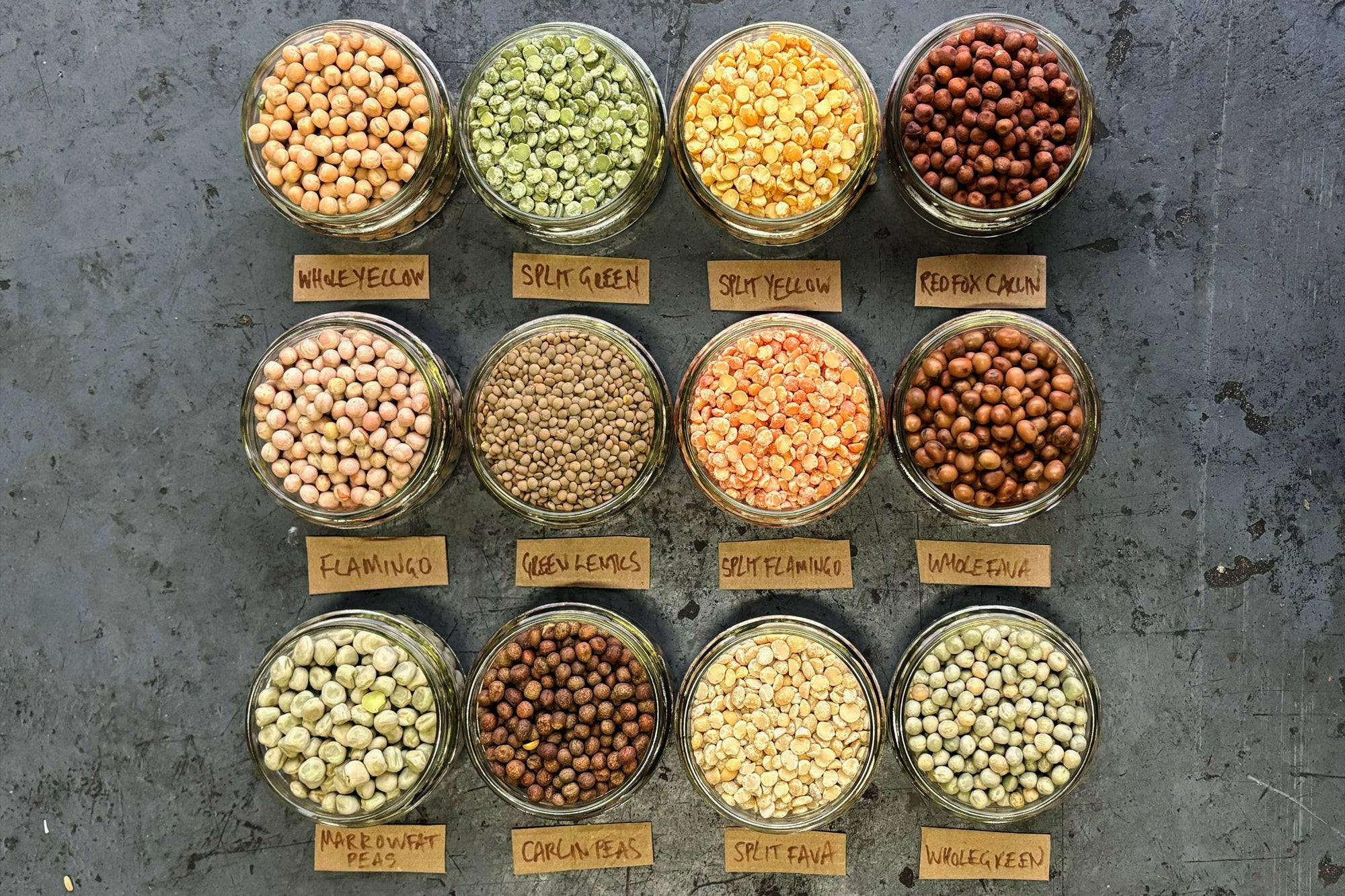 Big Bundle of British Pulses