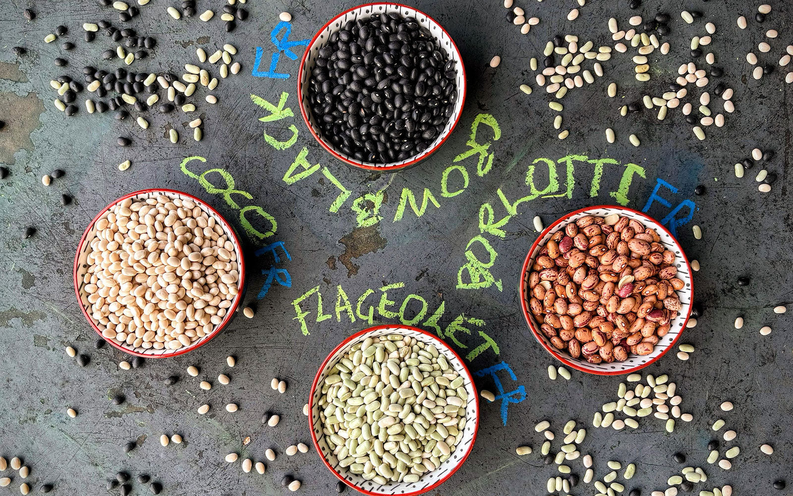 Phaseolus bean varieties