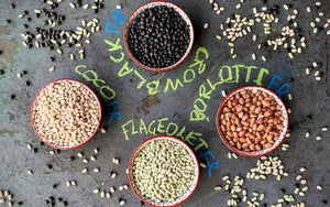 Phaseolus bean varieties