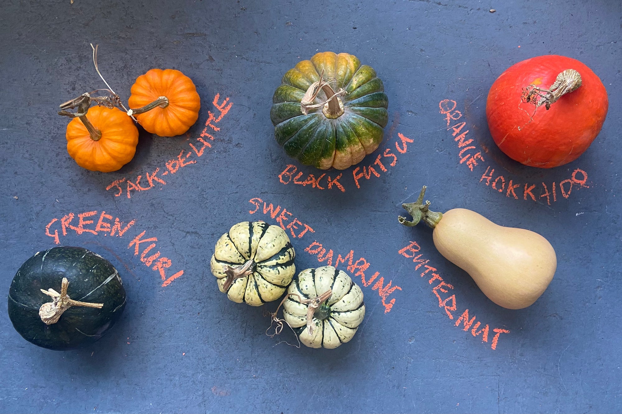 Wakelyns Squash Selection