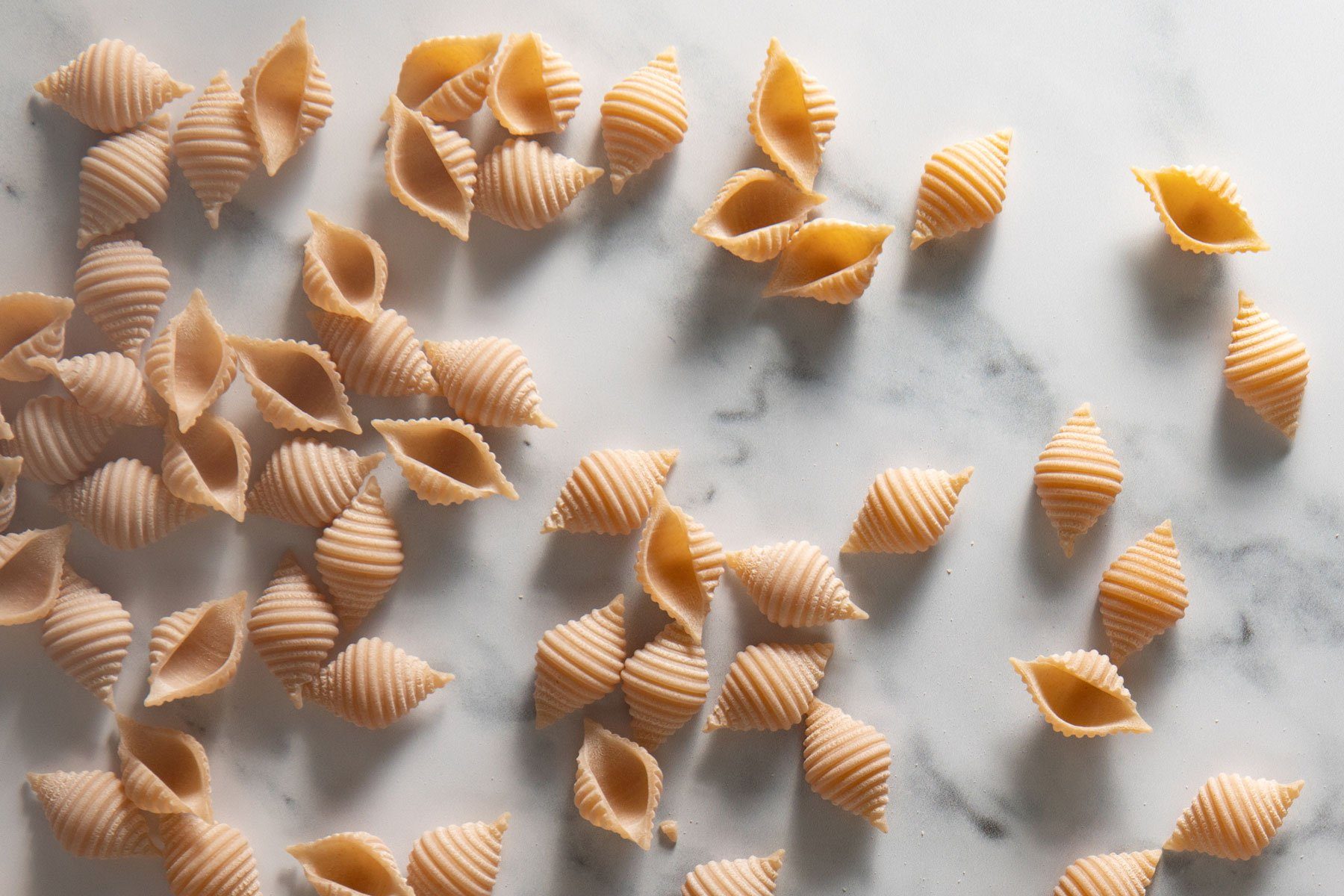 Spelt Conchiglie, White, Organic - Hodmedod's British Pulses & Grains