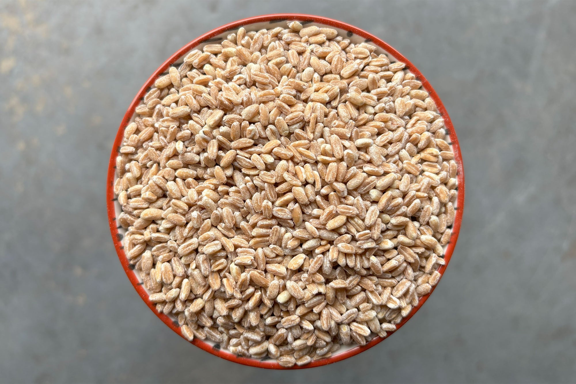 Pearled Spelt
