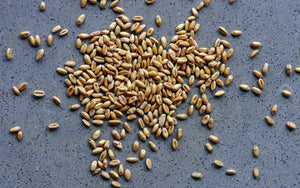 Cereal Grain
