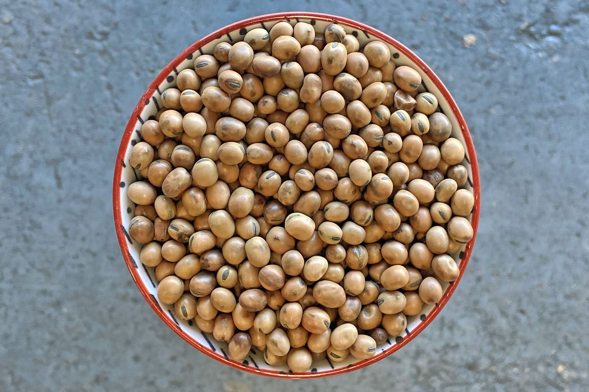 Whole Fava Beans, Organic